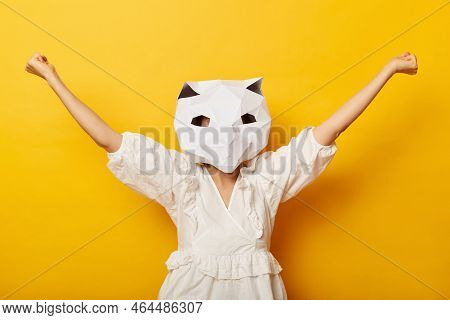 Horizontal Shot Of Optimistic Happy Woman Wearing Dress And Paper Cat Mask Posing Isolated Over Yell