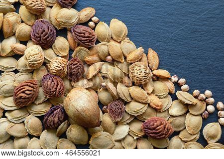 Background Of Different  Fruit Stones. Copy Space