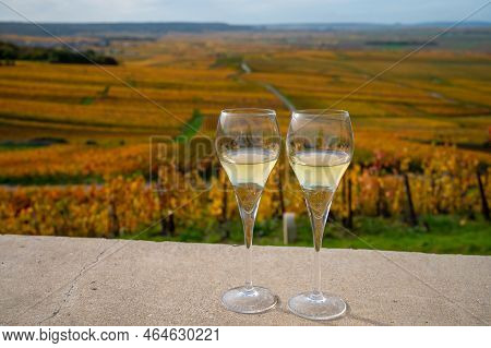Tasting Of White Brut Champagne Wine Outdoor With View On Colorful Autumn Pinot Noir Grand Cru Viney
