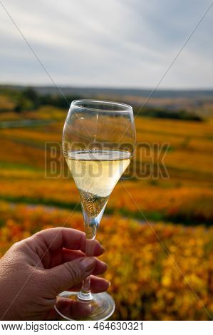 Tasting Of White Brut Champagne Wine Outdoor With View On Colorful Autumn Pinot Noir Grand Cru Viney