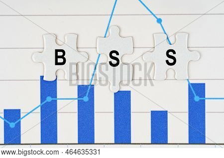 Business Concept. On Business Reports - Diagrams Are Puzzles With The Inscription - Bss