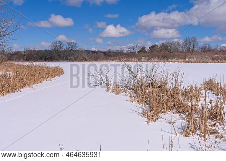 White Blanket Over A Frozen Wetland In The Crabtree Nature Preserve In Illinois