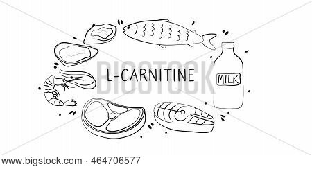 L-carnitine-containing Food. Groups Of Healthy Products Containing Vitamins And Minerals. Set Of Fru