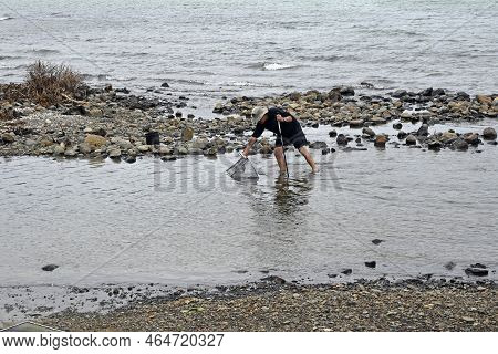 Christchurch, New Zealand - October 26, 2022; Fisherman Checking His Whitebaiting Net At Robinsons B
