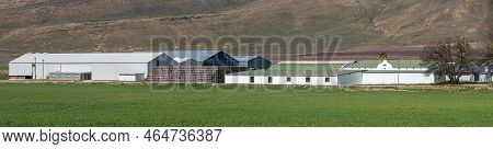 Koue Bokkeveld, South Africa - Sep 9, 2022: Panoramic View Of Witzenberg Esperanto Pack Store In The