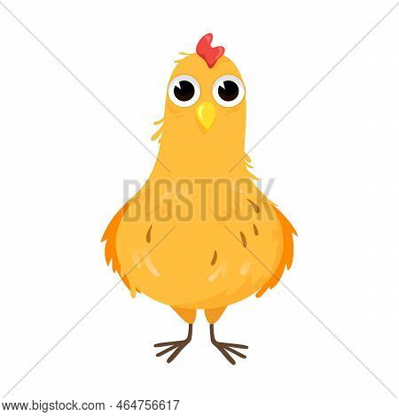Cute Chick Hatching Process. Vector Illustration Of Birth Step From Egg To Bird. Cartoon Bird Isolat