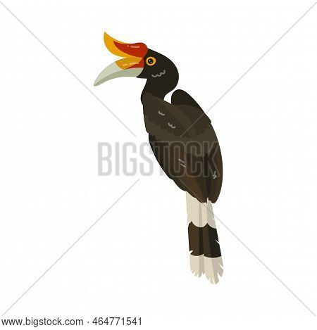 Calao Or Hornbill And Tropical Bright Bird. Vector Illustration Of Colorful Animal From Exotic Islan