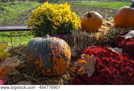 Autumn Outdoor Decoration From Pumpkins, Flowers And Hay
