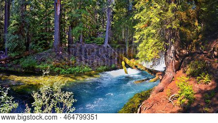 Sahalie Koosah Tamolitch Falls On Mckenzie River, Williamette National Forest, Cascade Mountains, Or