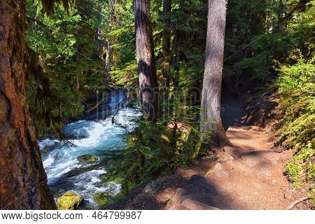 Sahalie Koosah Tamolitch Falls Hiking Trail On Mckenzie River, Williamette National Forest, Cascade 
