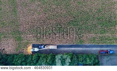 Aerial Drone View Flight Over Combine Harvester That Reaps Dry Corn In Field On An Autumn Day In The
