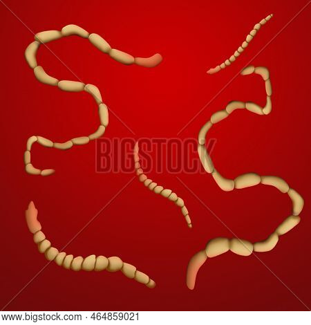 Illustration Of Helminths On Color Background. Parasites In Human Body