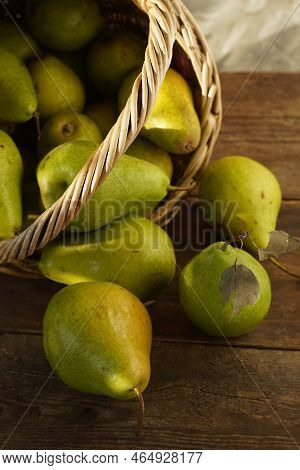 Pears On A Wooden Background. Fruit Harvest. Autumn Still Life. Pear Variety Bera Conference.