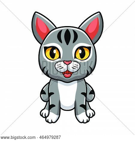Vector Illustration Of Cute Manx Cat Cartoon Sitting