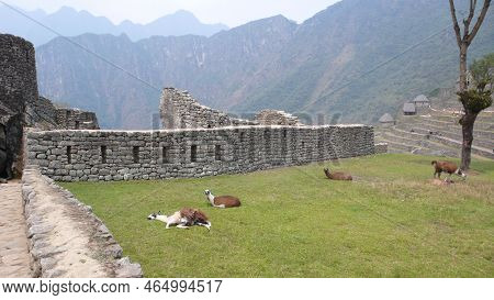 Machu Picchu View Peru South America Andes