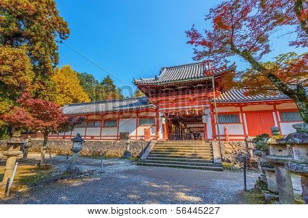 Tamukeyama Hachimangu in Nara
