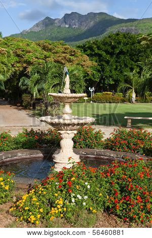 Tropical park at the bottom of mountains