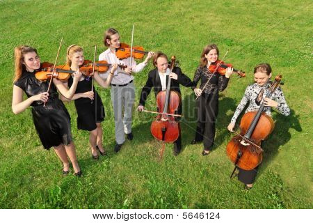 Sei violinisti stanno semicerchio su erba e giocare
