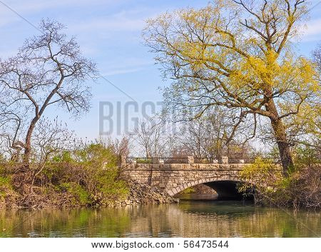 Spring In Park