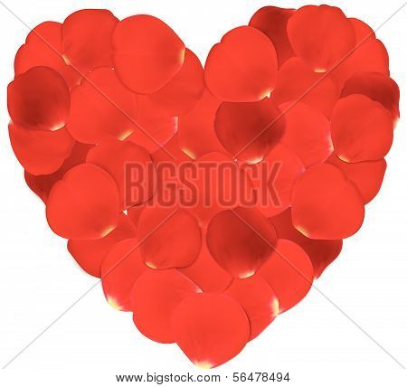 Heart made from red petals isolated on white. Vector illustration