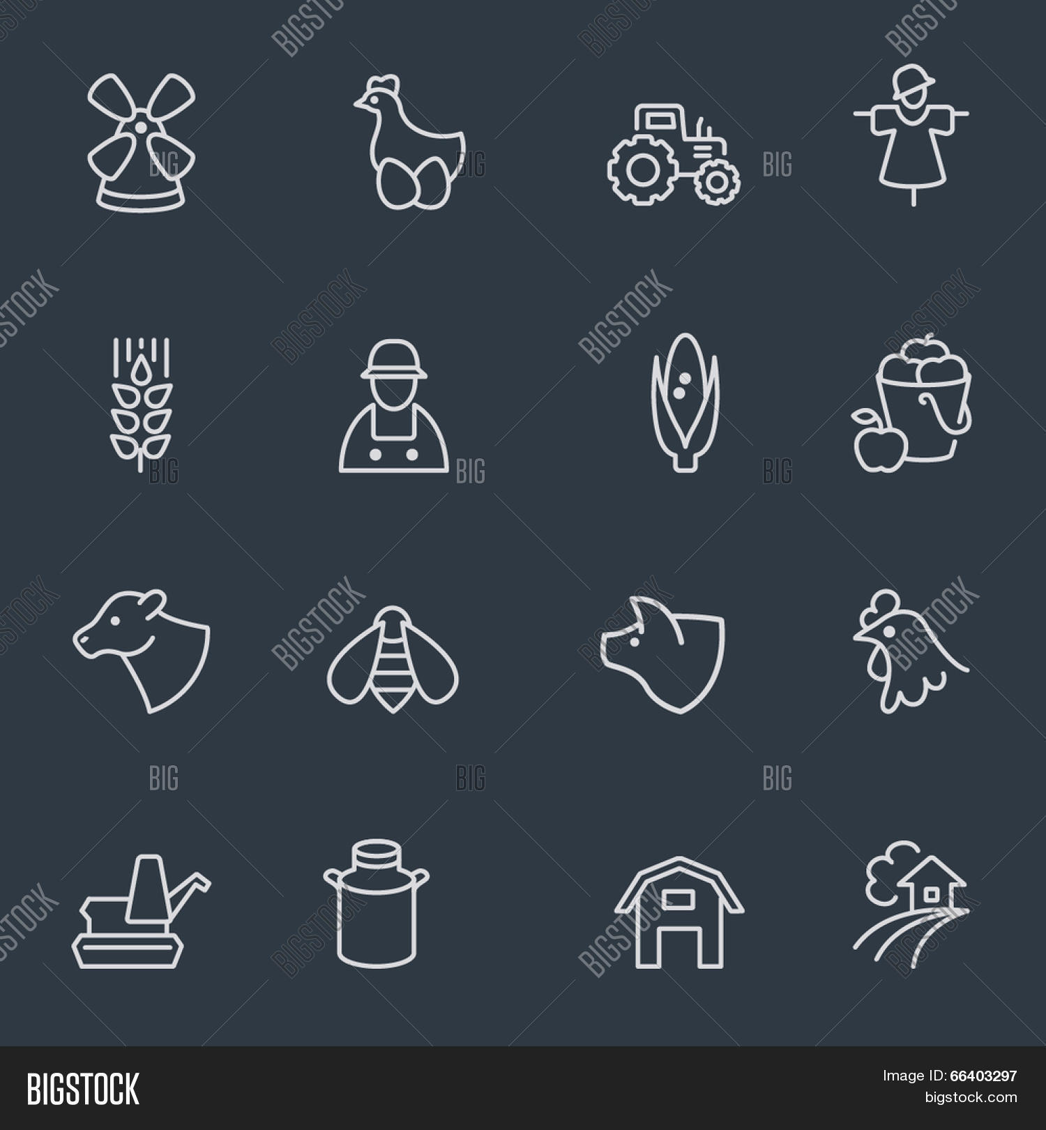 Image Preview
