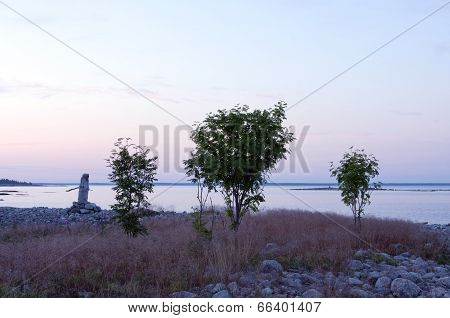 Trees and wooden sea-mark, navigation mark along the coast.