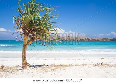 Perfect White Beach