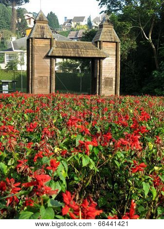 Curitiba Beautiful Park