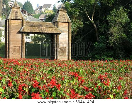 Curitiba Beautiful Park