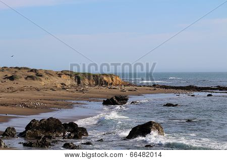 California Coast