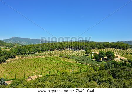 Provence Rural Landscape