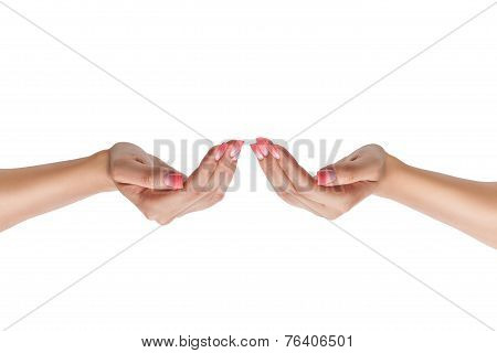 Female Hands With Nail.
