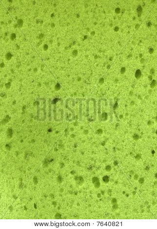 grüne Schwamm Hintergrund