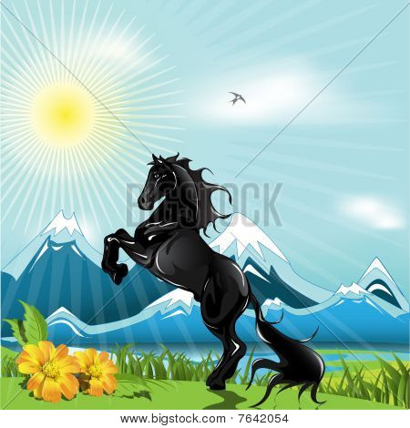 black horse