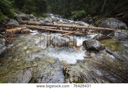 Mountain Forest River With Woods Fallen In It