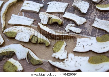Boletus Edulis Mushroom Cut For Droughting