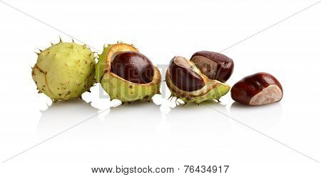 Four Chestnuts In Line Isolated On White Background
