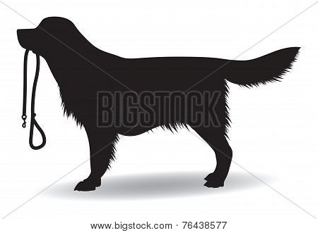 a dog silhouette