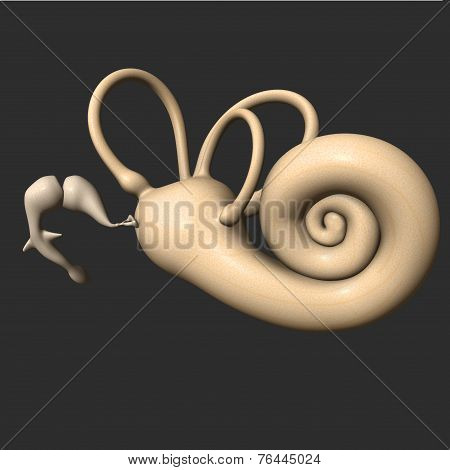 Ear drum