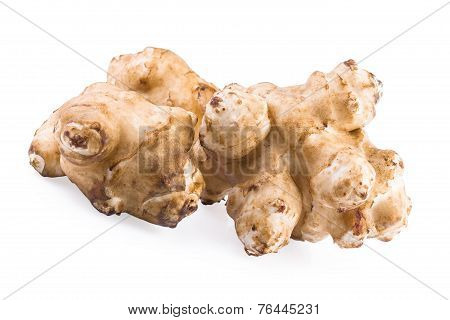 Jerusalem artichoke sunroot tuber