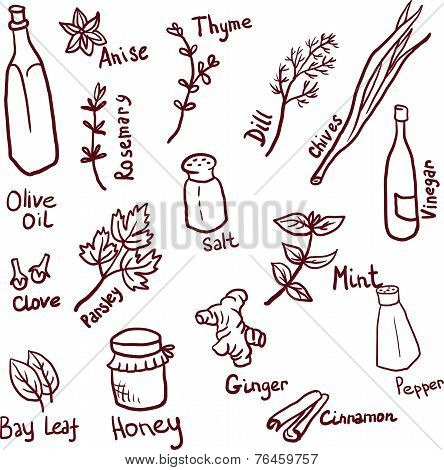 doodle spice set