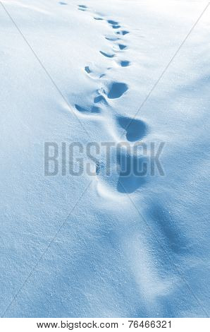 Footprints in the snow