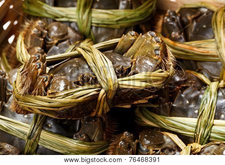 Fresh hairy crabs