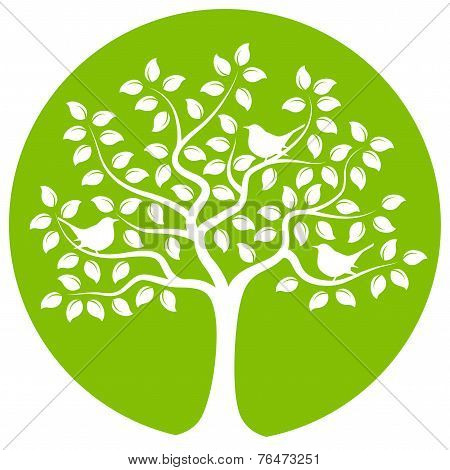 Tree With Birds