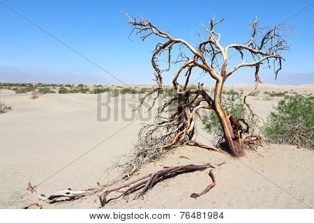 Death Valley
