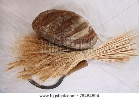 bunch of mown wheat ears with vintage handmade reaper hook sickle and rye dark french fresh bread loaf on white linen tablecloth