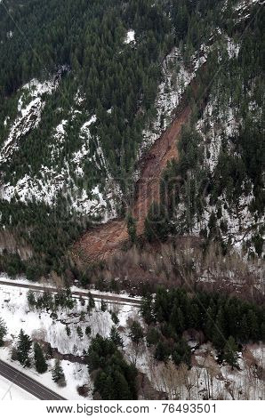 Washington Forest Mudslides