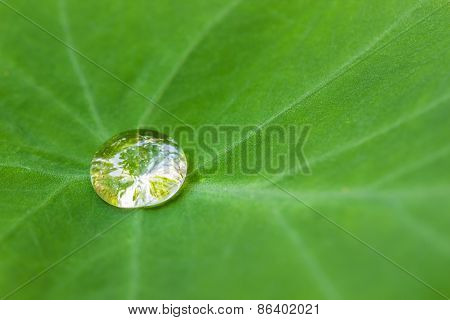 Water Drop