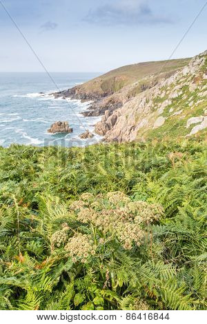 Walking along the coast path from st ives to Zennor