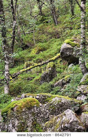 Rogaland